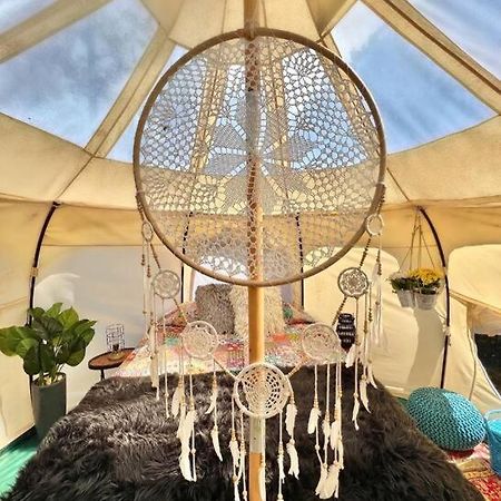 The Pisces-A Stargazing, Luxury Glamping Tent Rogersville Екстер'єр фото