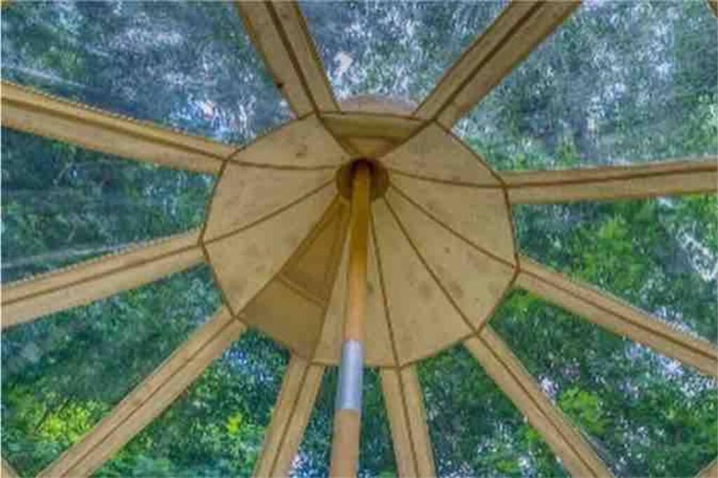 The Pisces-A Stargazing, Luxury Glamping Tent Rogersville Екстер'єр фото