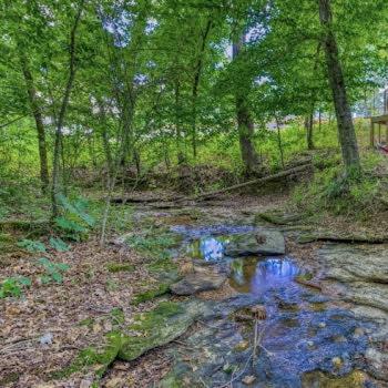 The Pisces-A Stargazing, Luxury Glamping Tent Rogersville Екстер'єр фото